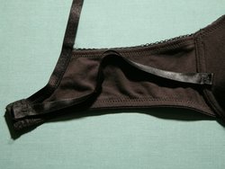 brassièred: Chapter 5: How do I make sure he wears a bra when I'm not there?